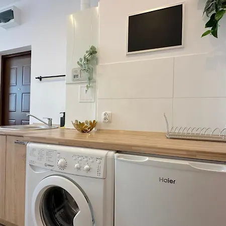 Apartman Stary Birch