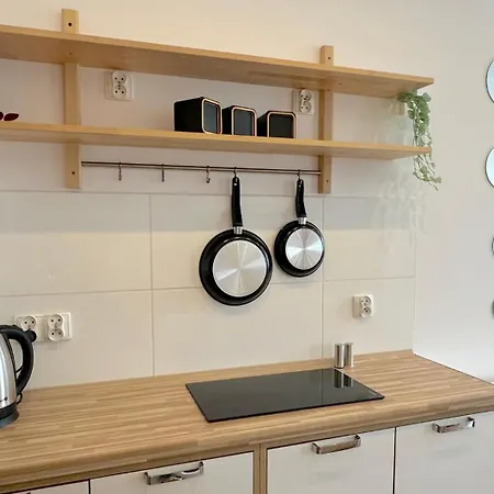 Apartman Stary Birch